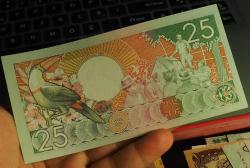 SURİNAME 25 GULDEN ÇİL