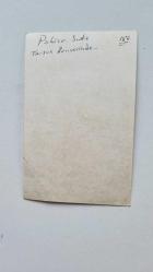 PAKİZE SUDA'NIN ORİJİNAL FOTOĞRAFI - 14 x 9 cm EBADINDA - PAKİZE SUDA, TARSUS KONSERİNDE MİNİ ELBİSESİYLE SAHNEDEYKEN ÇEKİLMİŞ BİR KARE