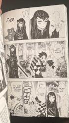 Demon Slayer: Kimetsu no Yaiba Volume 12 - Shonen Jump Edition - Manga - English - Softcover - By Koyoharu Gotouge - VIZ Media