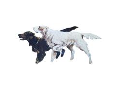 RUS RESSAM BİRAVLEV İMZALI YAĞLI BOYA RESİM