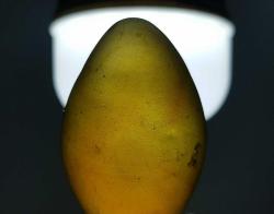 OSMANLI DÖNEMİ AKİK HATTAT MÜHRESİ