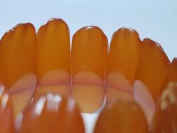 ANTİKA DAMLA KEHRİBAR BİLEKLİK