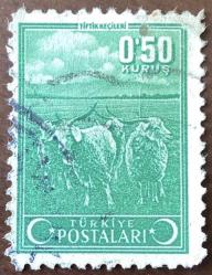 1953 TÜRKİYE ANKARA KEÇİSİ