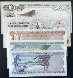6.Emisyon 100-50-20-10-5 Türk lirası ÇİL kağıt para    (  63   )