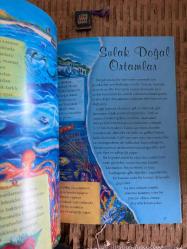 Suyun Hikayesi-Yeryüzündeki Su Kaynakları