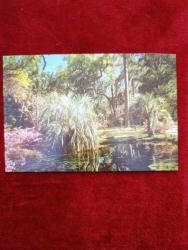 Dönem ürünü bayram tebrik kartı kartpostal