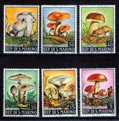 1967 Mantarlar MNH Tam Seri San Marino - DAMGASIZ Mantar Fauna  Temalı Pul Koleksiyonu - Mushroom Collection