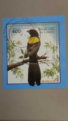 LOT.10 » 1993 YILI KONGO 