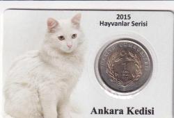 Koleksiyon Ürünü Ankara Kedisi 1 TL Özel Kapamasında