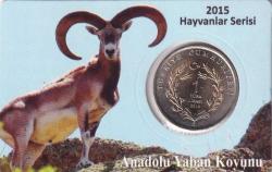 Koleksiyon Ürünü Anadolu Yaban Koyunu 1 TL Özel Kapamasında