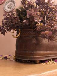 Avrupa Bakır Kömürlük