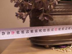 Avrupa Bakır Kömürlük