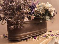 Avrupa Bakır Kömürlük