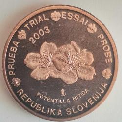 SPECIMEN   SLOVENYA     2003      2  EURO CENT    DENEME PARASI