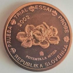 SPECIMEN   SLOVENYA     2003      1  EURO CENT    DENEME PARASI