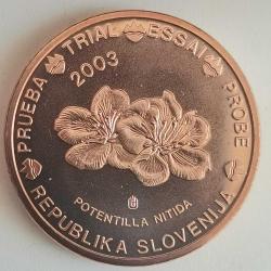SPECIMEN   SLOVENYA     2003      5  EURO CENT    DENEME PARASI