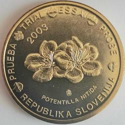 SPECIMEN   SLOVENYA     2003      20  EURO CENT    DENEME PARASI