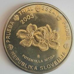 SPECIMEN   SLOVENYA     2003      50  EURO CENT    DENEME PARASI