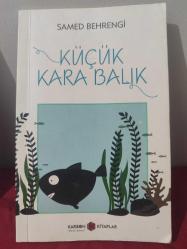 Küçük Kara Balık**