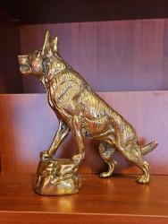 PİRİNÇ KURT      ( Dev boy )