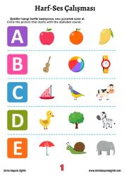 Adım Adım Kolay İngilizce Görüntülü ve Sesli Eğitim Seti