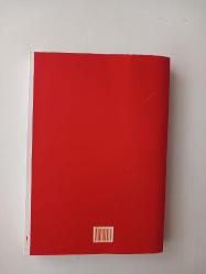 Yerel Yönetimlerin Yeniden Yapılandırılması - Türkiye Deneyimi