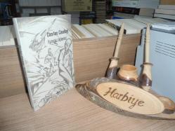 PARADOKS ÜÇLEMESİ