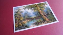 GÖL MANZARALI KARTPOSTAL