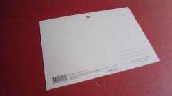 GÖL MANZARALI KARTPOSTAL