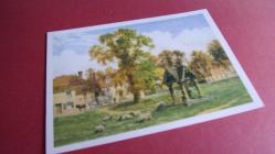 KÖY MANZARALI KARTPOSTAL