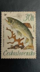 LOT.13 » 1966 YILI ÇEKOSLOVAKYA Dünya Balıkçılık Şampiyonası, Svit DAMGALI ŞARNİYERSİZ