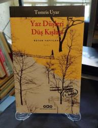 YAZ DÜŞLERİ DÜŞ KIŞLARI