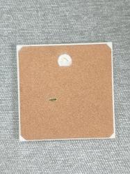 ABD Washington DC Duvar Dekoru