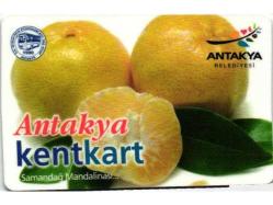 2K = ULAŞIM  KARTI ( ANTAKYA ) KENT  KART ( 2. EL * TEMİZ ve NADİR )