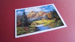 GÖL MANZARALI KARTPOSTAL