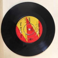Mary Hopkin / Those Were The Days - Turn Turn Turn / Turkey 1968 / 45'lik / *pop*