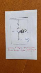 TÜRK SANAT MÜZİĞİ SANATÇISI SEVİM DERAN'IN ORİJİNAL FOTOĞRAFI - 18 x 12 cm EBADINDA  - SEVİM DERAN'IN, EVİNDE EŞİ EROL DERAN'LA BİRLİKTE DENİZ KENARINDA VAKİT GEÇİRİRKEN ÇEKİLMİŞ BİR KARE