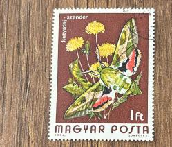 Macaristan Pulu - Magyar Stamp - Postadan Geçmiş Pul Filateli - Damgalı - Güvercinkuyruklu Atmaca Güvesi Temalı Pul , 1 PARA - YABANCI PULLAR -NOSTALJİK DOĞUM GÜNÜ HEDİYESİ
