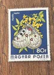 Macaristan Pulu - Magyar Stamp - Postadan Geçmiş Pul Filateli - Damgalı - Apollo Kelebeği Temalı Pul , 80 PARA - YABANCI PULLAR -NOSTALJİK DOĞUM GÜNÜ HEDİYESİ