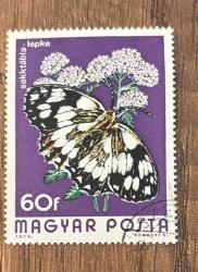 Macaristan Pulu - Magyar Stamp - Postadan Geçmiş Pul Filateli - Damgalı - Satranç Tahtası Kelebeği Temalı Pul , 60 PARA - YABANCI PULLAR -NOSTALJİK DOĞUM GÜNÜ HEDİYESİ