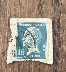 Fransa Pulu - France Stamp - Mektup Zarfından Kesilmiş / Postadan Geçmiş Pul Filateli - DAMGALI - LOUIS PASTEUR TEMALI PUL, 1 PARA - YABANCI PULLAR - NOSTALJİK DOĞUM GÜNÜ HEDİYESİ