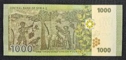SURİYE 1000 POUND ÇİL