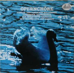 KLASİK MÜZİK OPERA  33 LÜK PLAK - Opernchöre