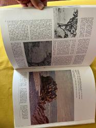 SİSLEY . empresyonistler