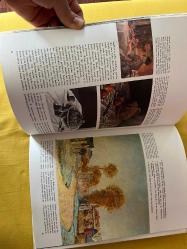 SİSLEY . empresyonistler