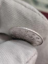 Sultan Abdülhamit 1293/22 Gümüş 2 Kuruş Nadir Çil