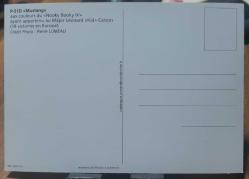 North American P-51 Mustang eskort avcı uçağı Kartpostal - Arkası Boş - Uçak Kartpostal