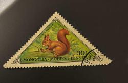 Moğolistan Pulu - Mongolia Stamp -  Postadan Geçmiş Pul Filateli - Damgalı - Kızıl Sincap Temalı Pul, 30 Para - Türkiye Cumhuriyeti - NOSTALJİK DOĞUM GÜNÜ HEDİYESİ