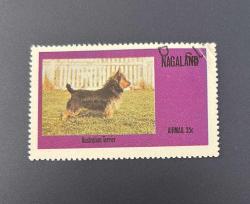 Nagaland Pulu - Nagaland Stamp - Postadan Geçmiş Pul Filateli - Damgalı - Avustralya Teriyeri Cinsi Köpek Temalı Pul , 35 PARA - YABANCI PULLAR - NOSTALJİK DOĞUM GÜNÜ HEDİYESİ