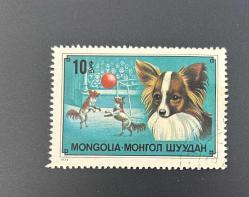 Moğolistan Pulu - Mongolia Stamp -  Postadan Geçmiş Pul Filateli - Damgalı -  Chihuahua Temalı Pul, 10 Para - Türkiye Cumhuriyeti - NOSTALJİK DOĞUM GÜNÜ HEDİYESİ